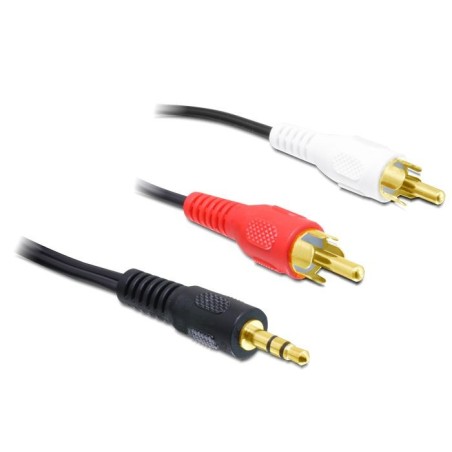 Cavo Aux Sdoppiatore RCA di 2mt Jack 3,5 Stereo a 2 spina RCA pin dorato